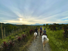 Colombia-Coffee Zone-Coffee Region Explorer